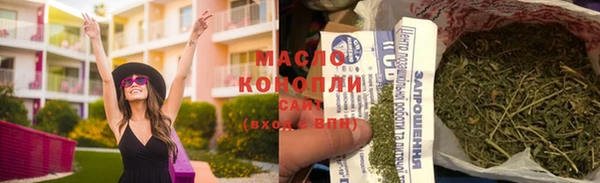 прущие грибы Абаза