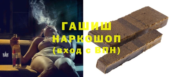гашик Алексин
