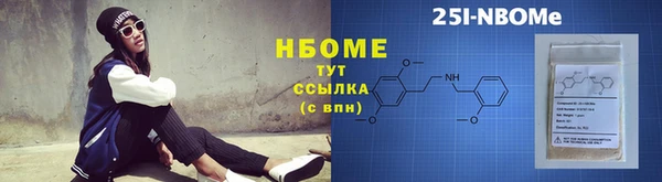 гашик Алексин