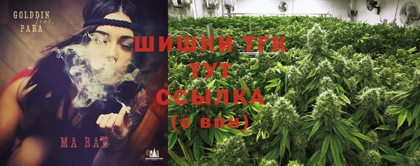 прущие грибы Абаза