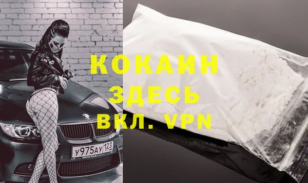 прущие грибы Абаза