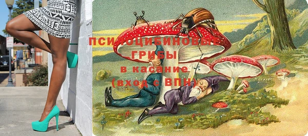 прущие грибы Абаза