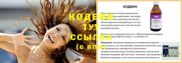 прущие грибы Абаза