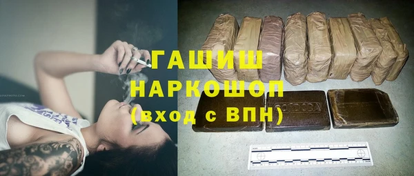 прущие грибы Абаза